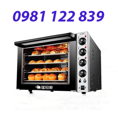 lo-nuong-doi-luu-60lit-3